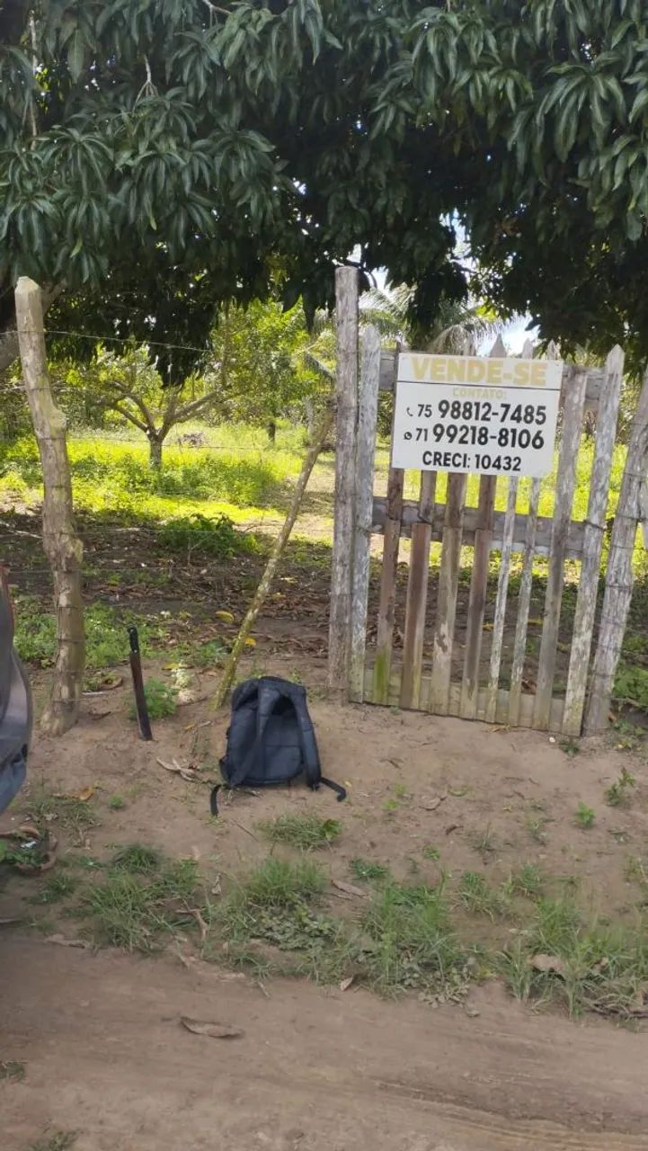 Vendo lotes e sítio  - Foto 3