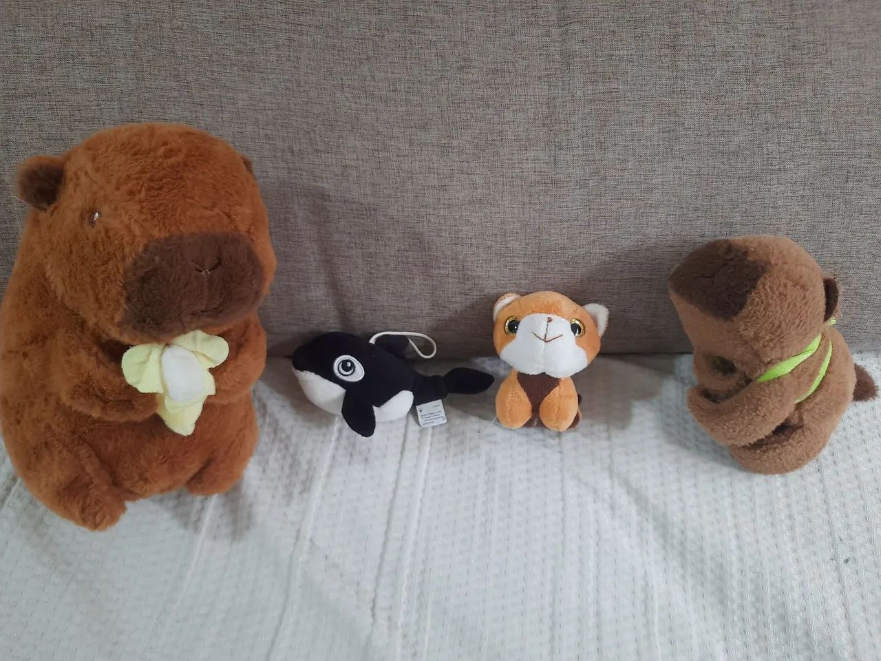 Pelúcia de Máquina - Foto 4