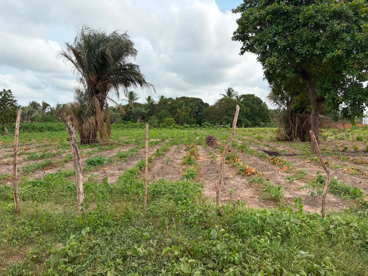 Excelente TERRENO investir  - Foto 3