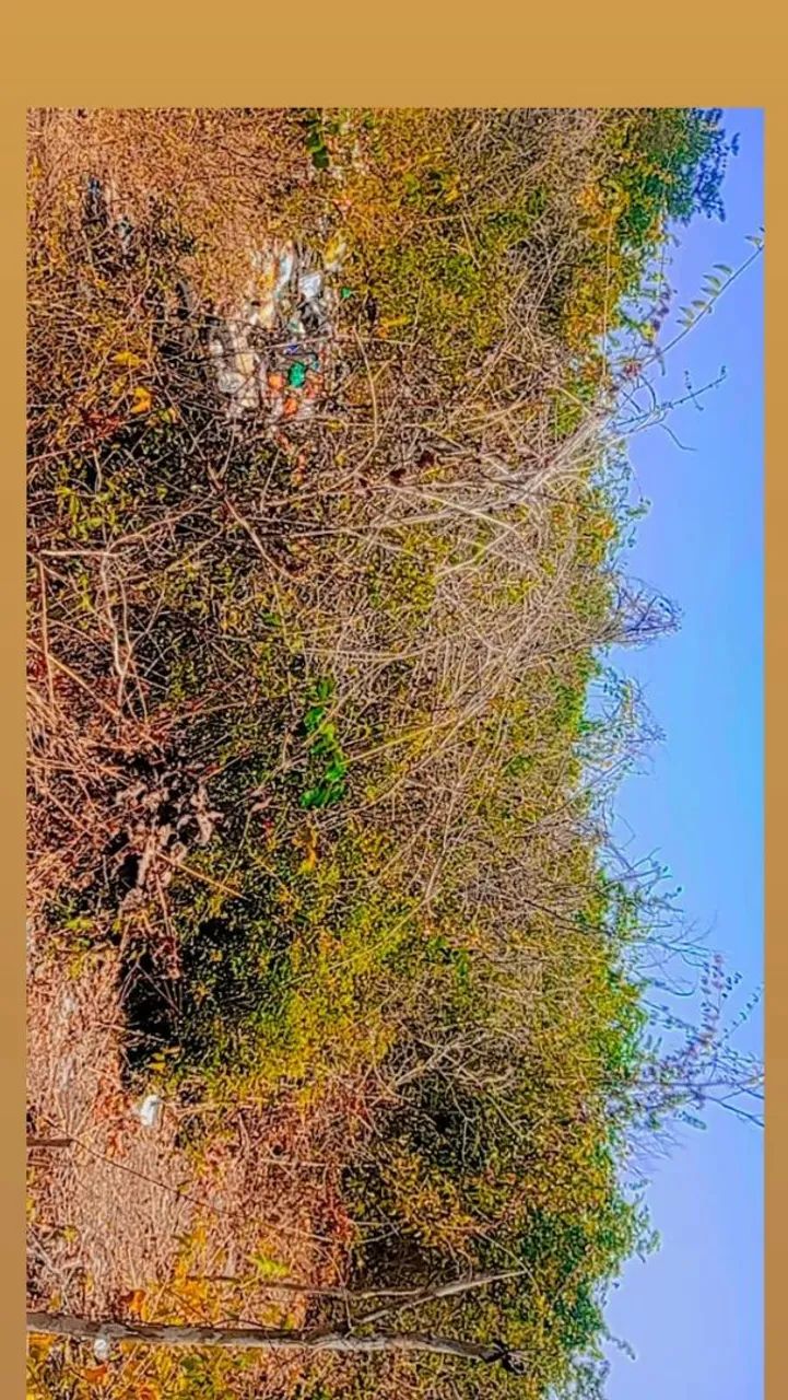 Terreno 20x60 - Foto 2