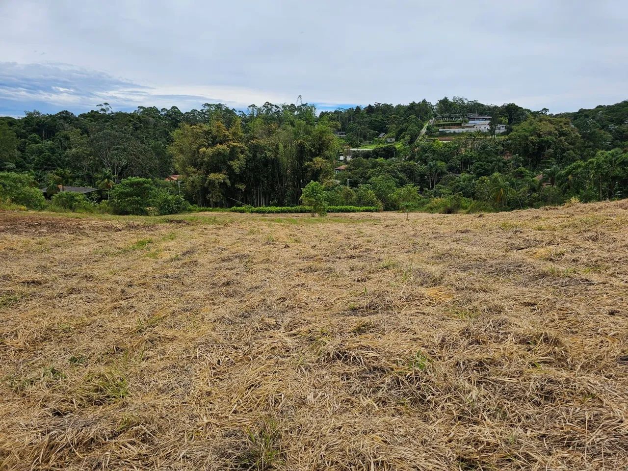 Chácara com escritura em Vila Moraes Mogi das Cruzes  - Foto 3