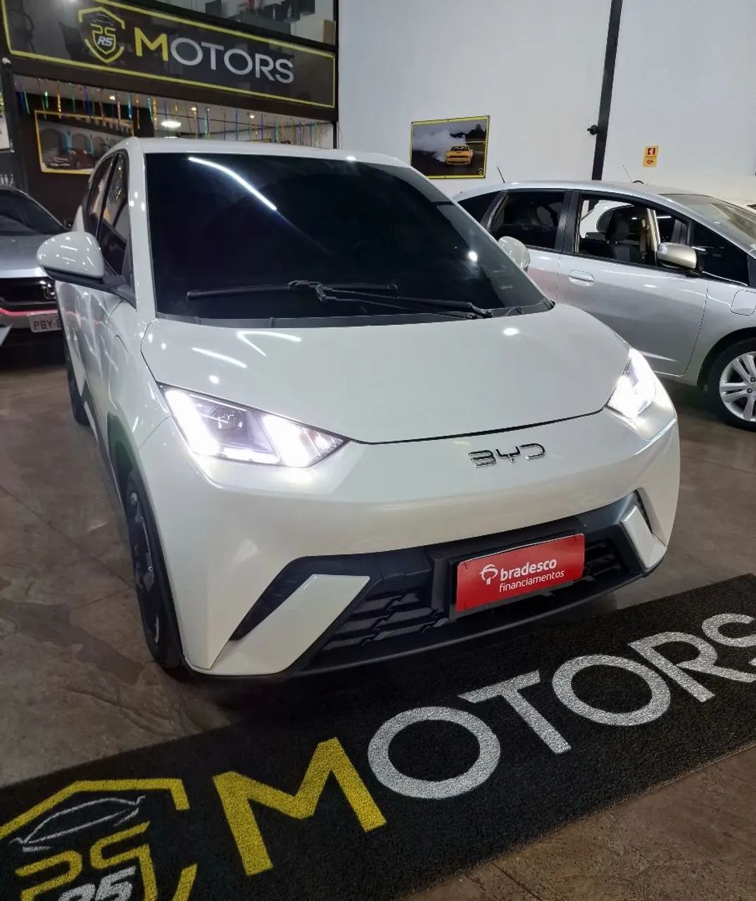BYD Dolphin Mini GL 2025