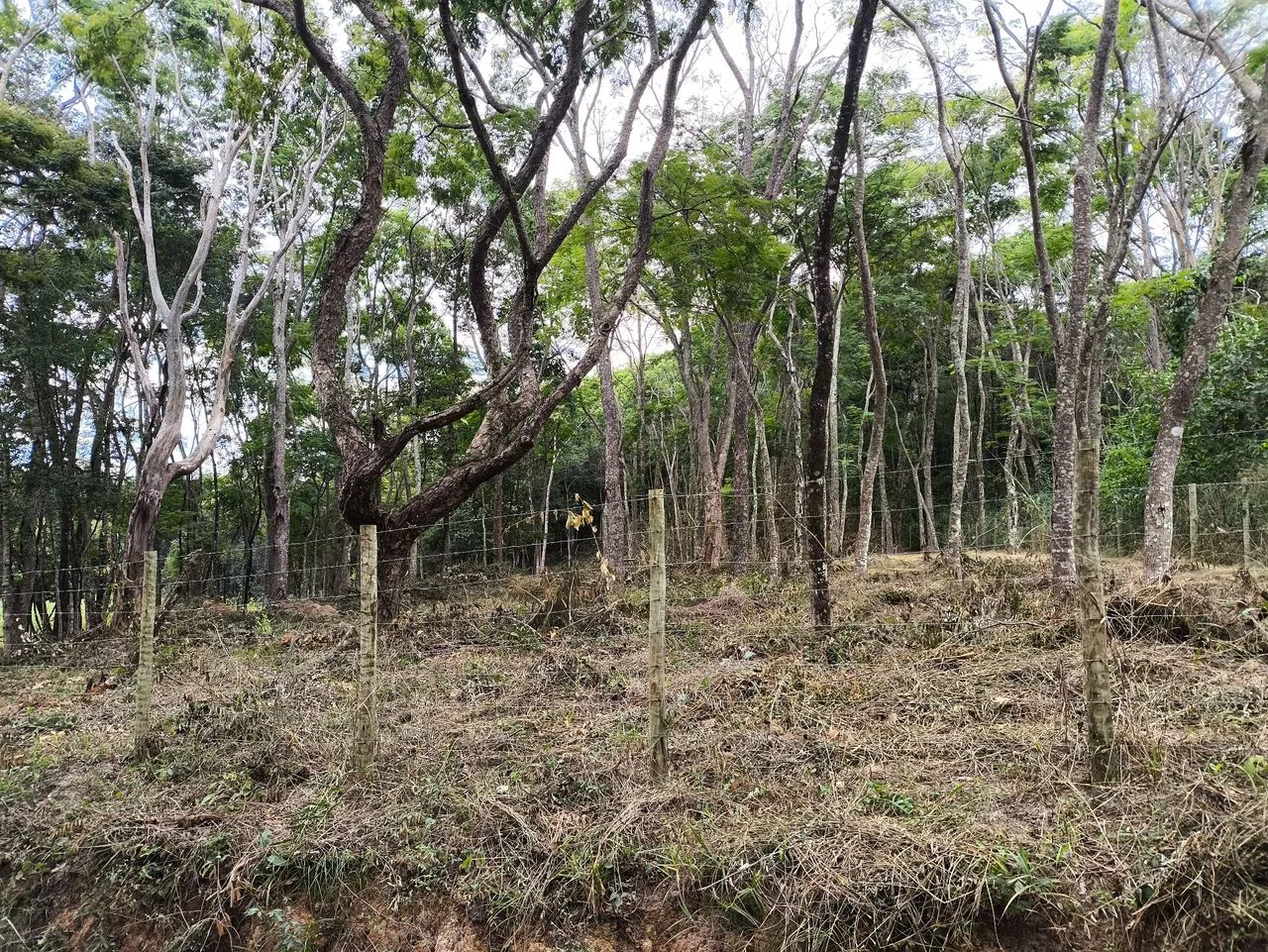 Terreno próximo a Ravena - Foto 5