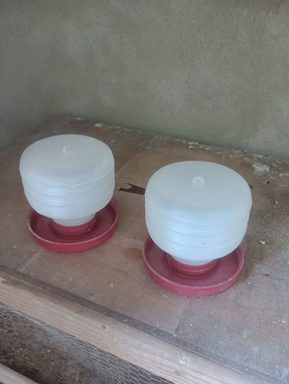 Bebedouros para aves