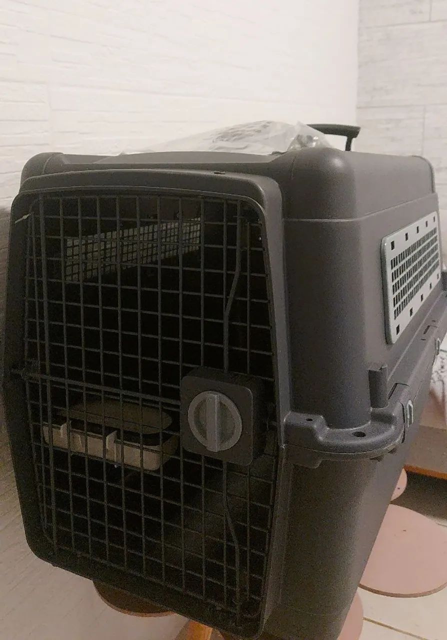 Caixa de transporte para pet