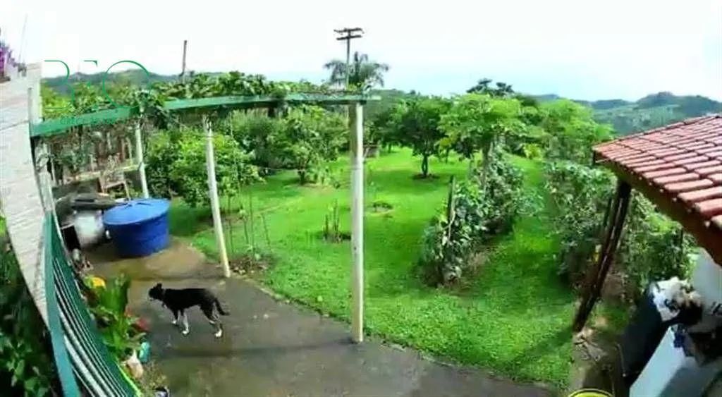 Oportunidade Serra Negra: Chácara com 3 Casas Independentes - Foto 5