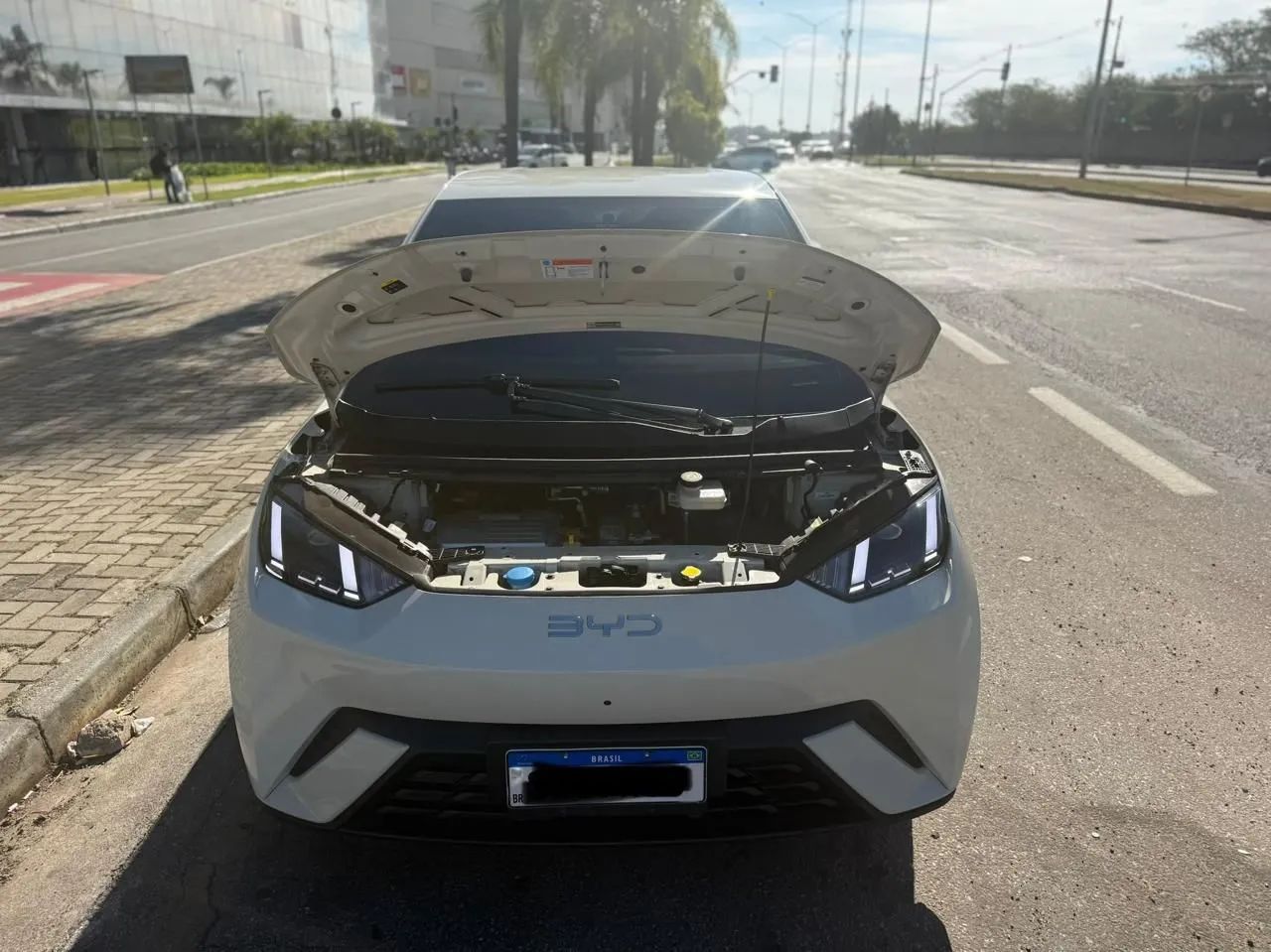 BYD Dolphin Mini (Elétrico) 2025 - Foto 4