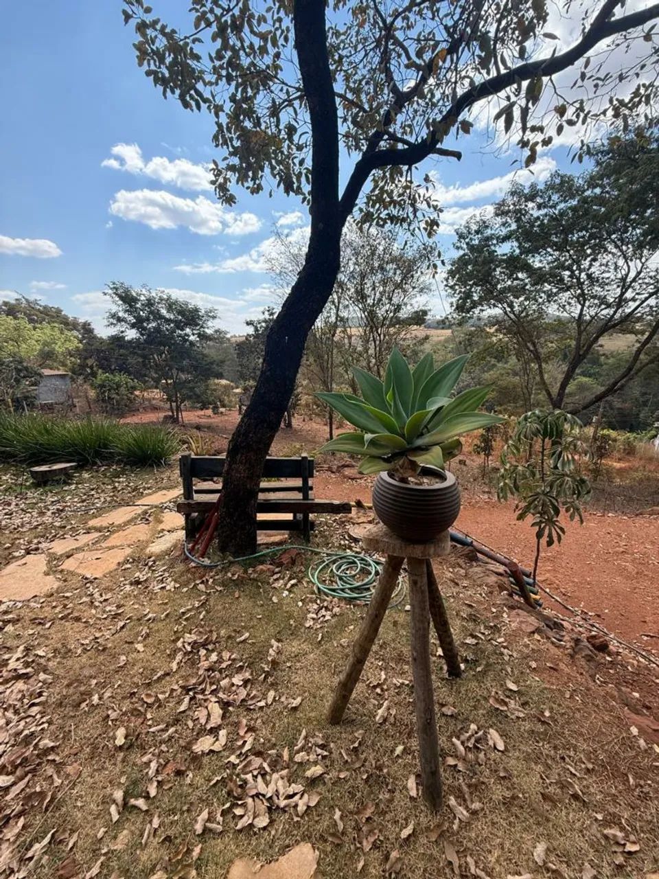 Chácara  - Foto 5