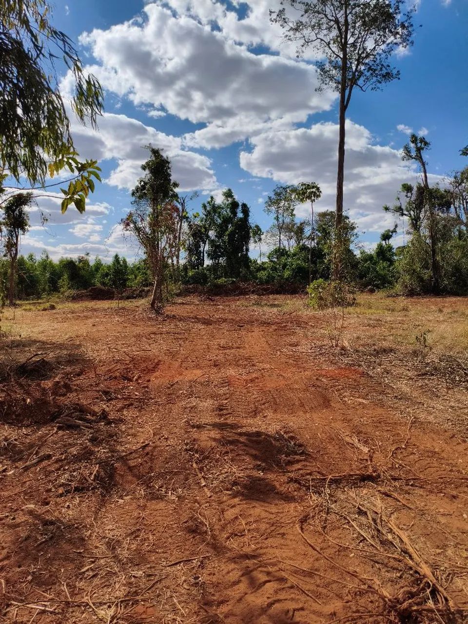 Chácara em Nerópolis 22.000 M2   - Foto 2