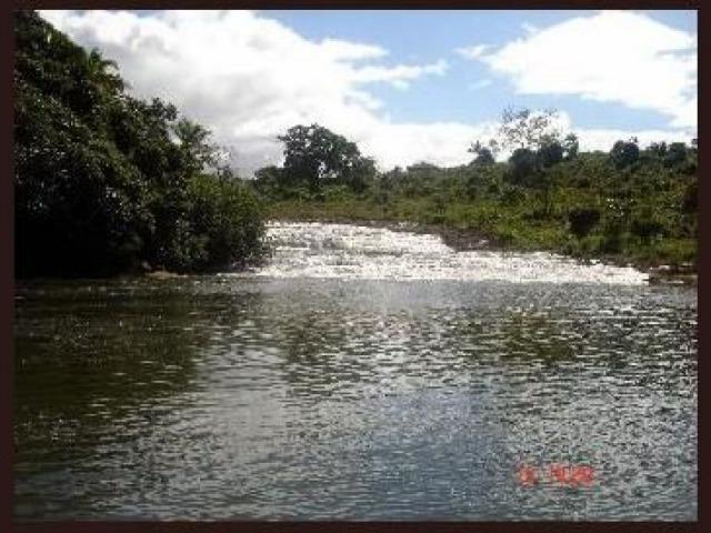 (183) Fazenda de Cacau (as margens da Lagoa Encantada) Ilheus 1400 hectares