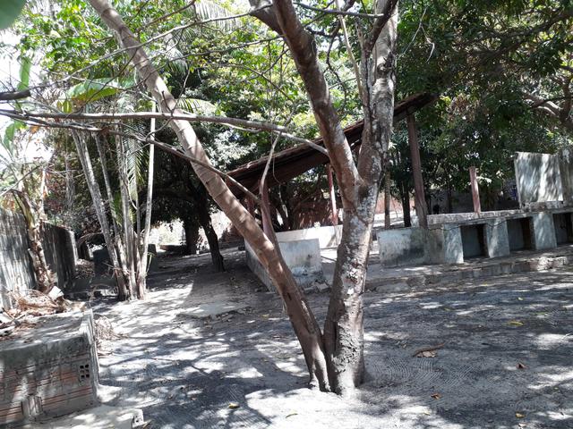Vendo um sitio - Foto 6