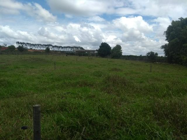 Vende-se Roça ótima para o lazer - Foto 14