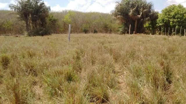 Terreno 8.200,0 m² - Foto 5