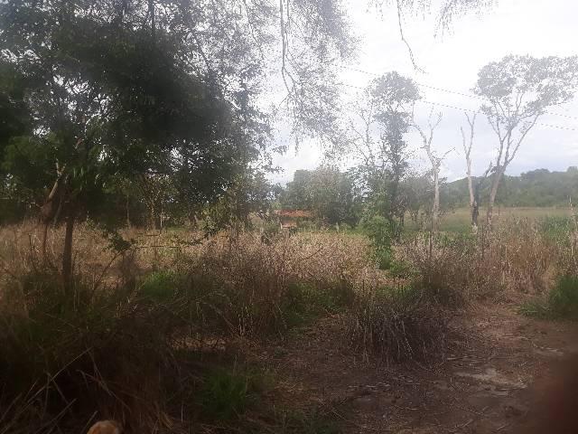 Chácara Goiânia - Foto 10