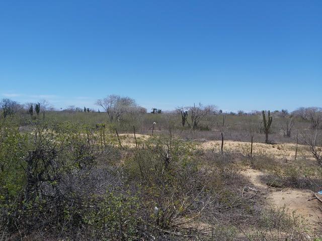 Vendo 1 tarefa de terra - Foto 2