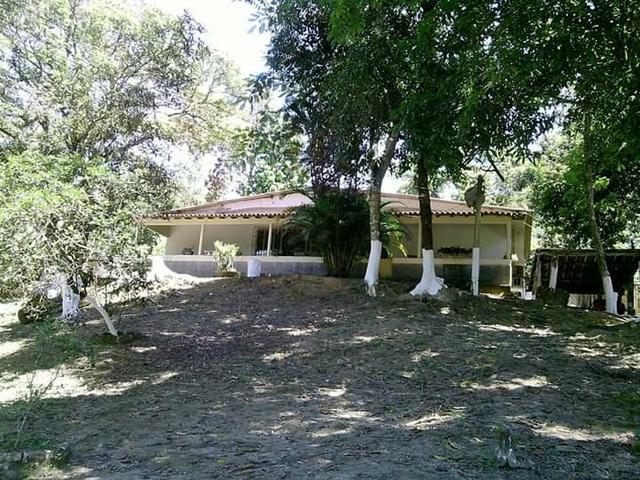 Parada Modelo. 7.500m2 - Foto 2