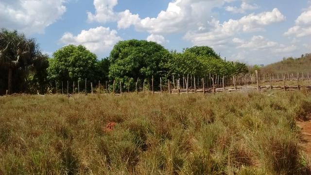 Terreno 8.200,0 m²