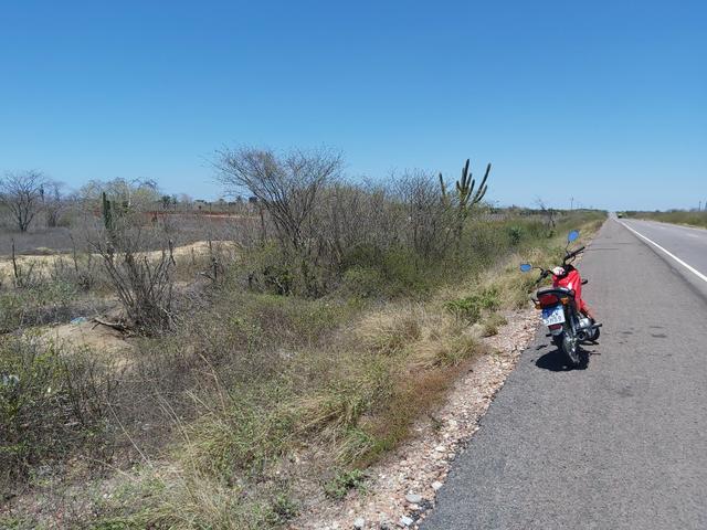 Vendo 1 tarefa de terra - Foto 4