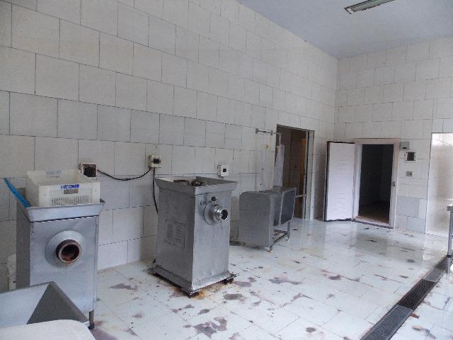 Área de 315.648 m² com fabrica de embutidos instalada e funcionando - Foto 18