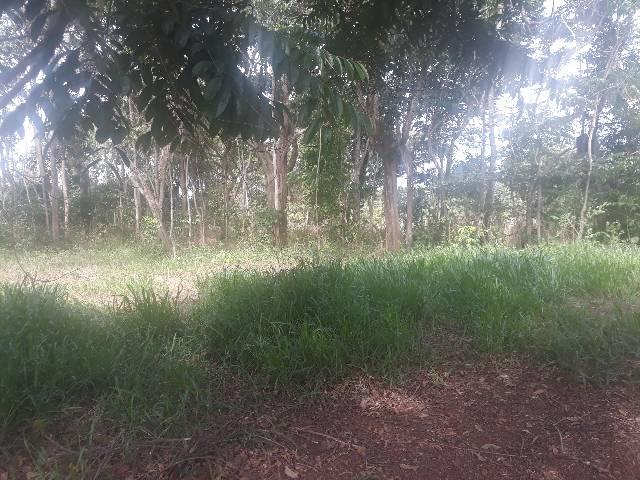 Chácara Goiânia - Foto 7
