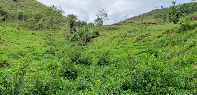 Fazenda 307 hectares localizada na Região sudene em Itambacuri, Leste de Minas Gerais - Foto 18