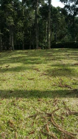 Terreno à venda, 810 m² por r$ 550.000 - Foto 5
