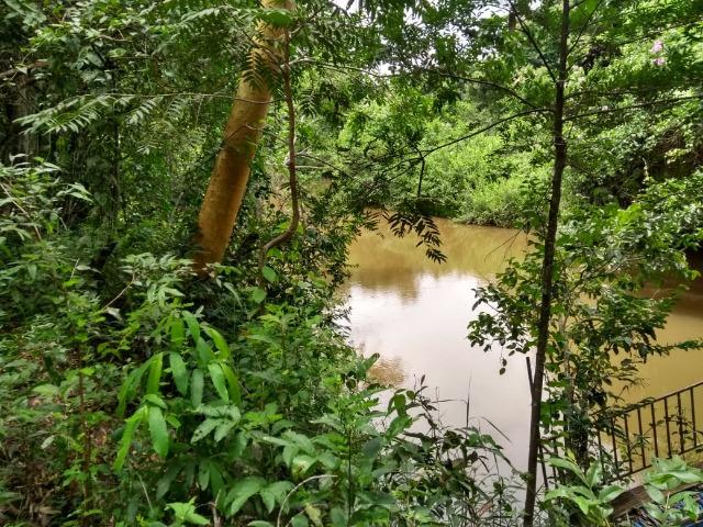 Chácara na beira do Rio Pirapitinga - Negócio de Oportunidade! - Foto 14