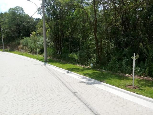 Terreno à venda, 724 m² por r$ 328.510,65 - prinstrop - gramado/rs - Foto 7