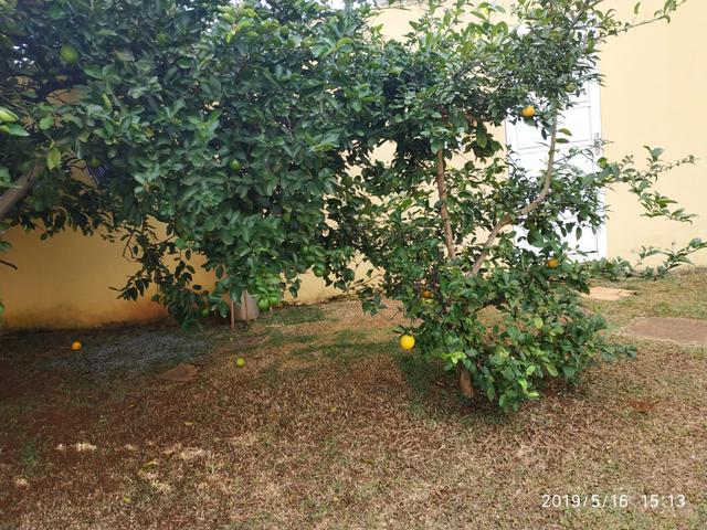 Casa rua 12 Vaz. LT.1100mt $950mil - Foto 5