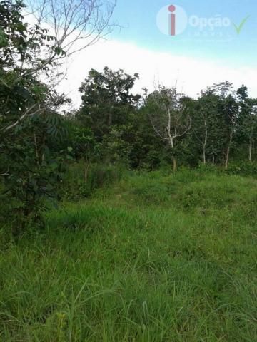 Chácara à venda, 24400 m² por R$ 115.000,00 - Zona Rural - Pirenópolis/GO - Foto 2