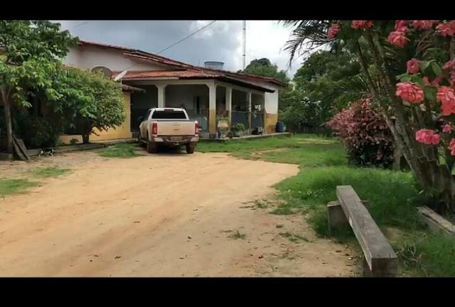 Vendo fazenda 300 alqueires (Margeando o Asfalto) - Foto 5