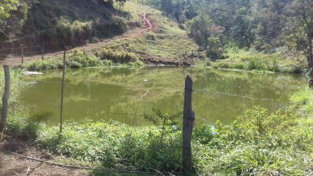 Sitio 10 alqueires margem rio paraíba local sem poluição estuda permuta até 50% vlr - Foto 16