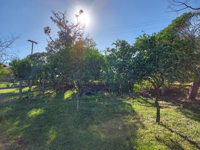 Velleda oferece 4 hectares c/ campo ideal para cavalos ou ovelhas, luz CEEE - Foto 11