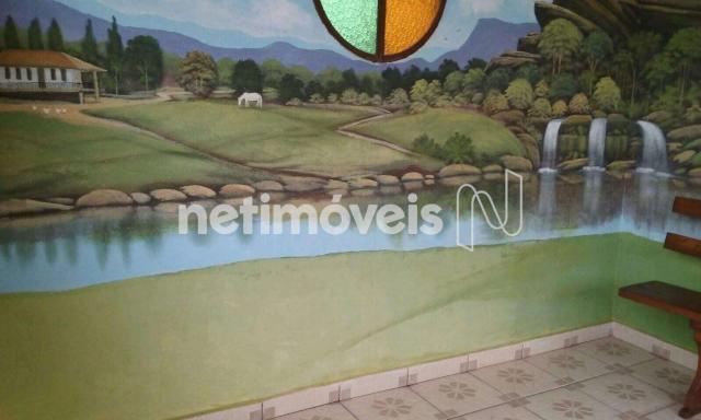 Casa à venda com 3 dormitórios em Providência, Belo horizonte cod:796129 - Foto 6