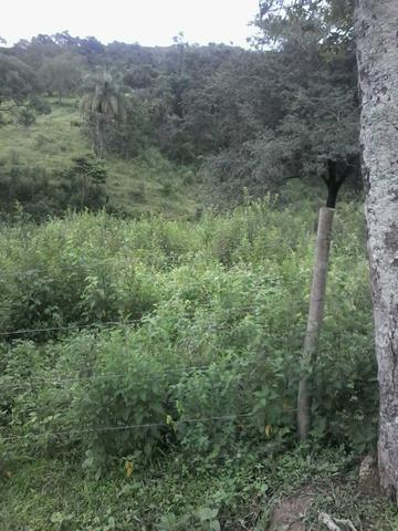 V/t terreno na Bahia - Foto 6