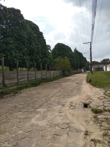 Terreno 21.000m2* próximo a BR 316 em Marituba - Foto 8