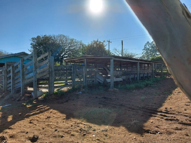 Velleda oferece 4 hectares c/ campo ideal para cavalos ou ovelhas, luz CEEE