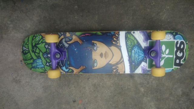 Skate pgs - Foto 2