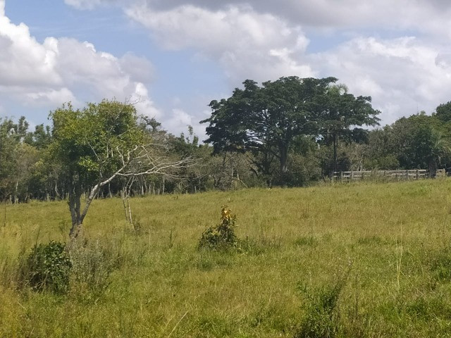 Velleda oferece sitio 3 hectares com casa e 2 açudes - Foto 2