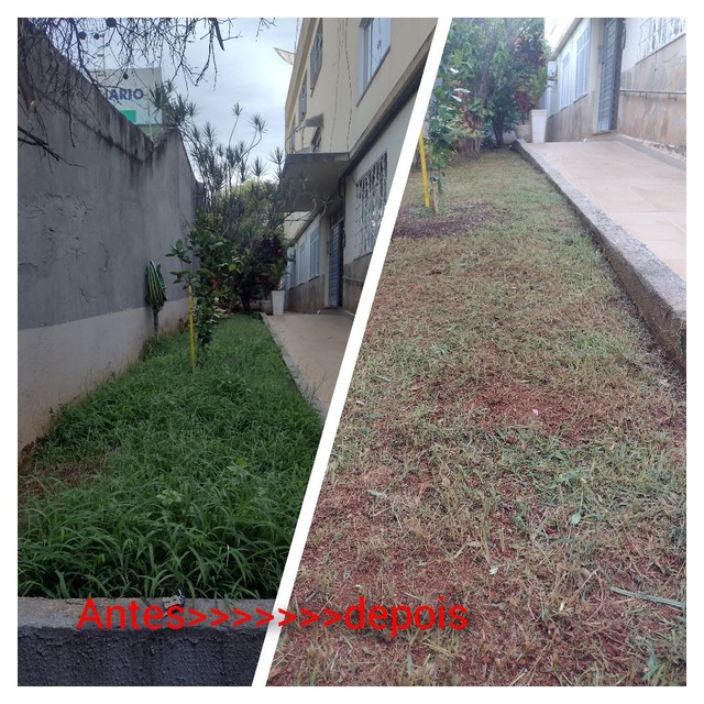 Jardineiro 