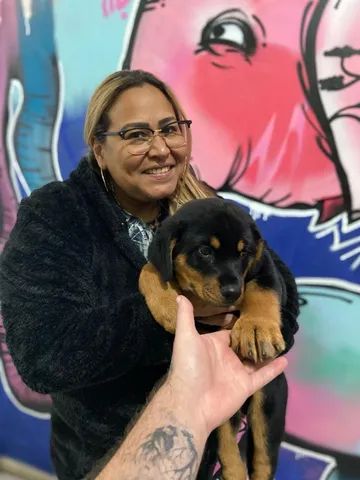  seu melhor companheiro está a sua espera - Foto 4