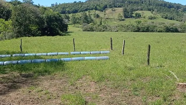 Chácara 23 hectares plano para pecuária  - Foto 3
