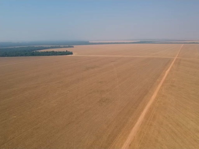 Fazenda de 3.580 hectares em Ipiranga do Norte-MT - Foto 4