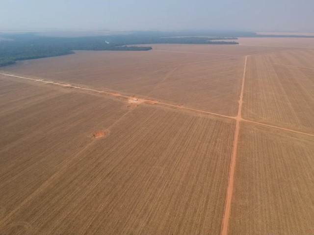 Fazenda de 3.580 hectares em Ipiranga do Norte-MT - Foto 3