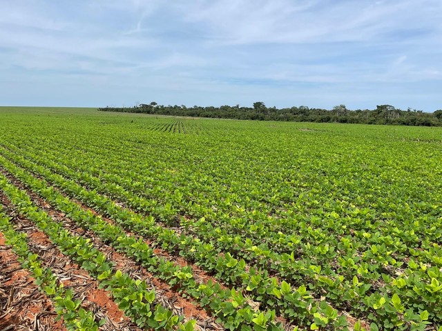 Fazenda de 3.580 hectares em Ipiranga do Norte-MT - Foto 10
