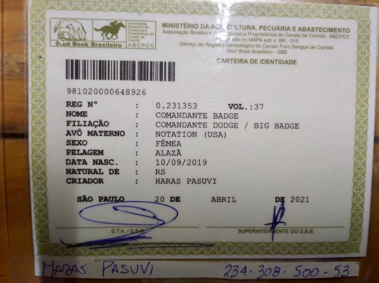 Égua PSI com registro venda ou troca em gado - Foto 4