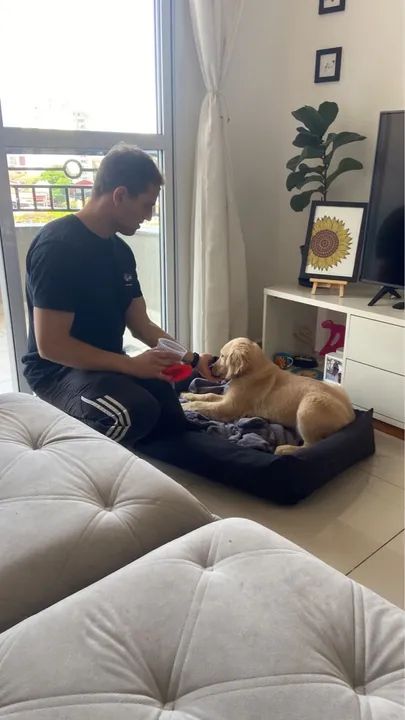 Adestramento de cães em SJC - Foto 6