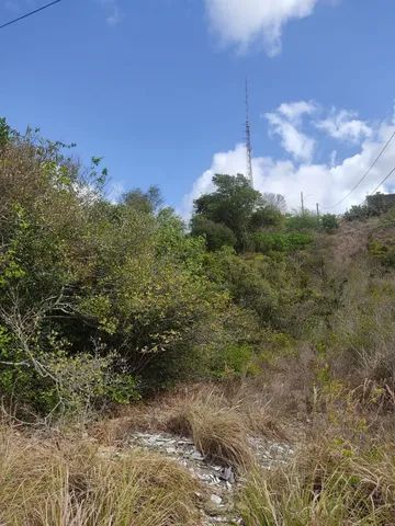 Vendo  terreno em Candelária - Foto 2