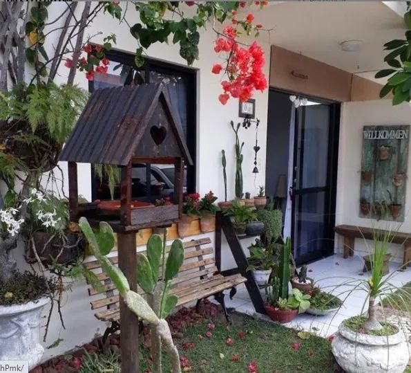 Casa de Passarinho e Escada Vertical de Paletes ou Madeira de Lei