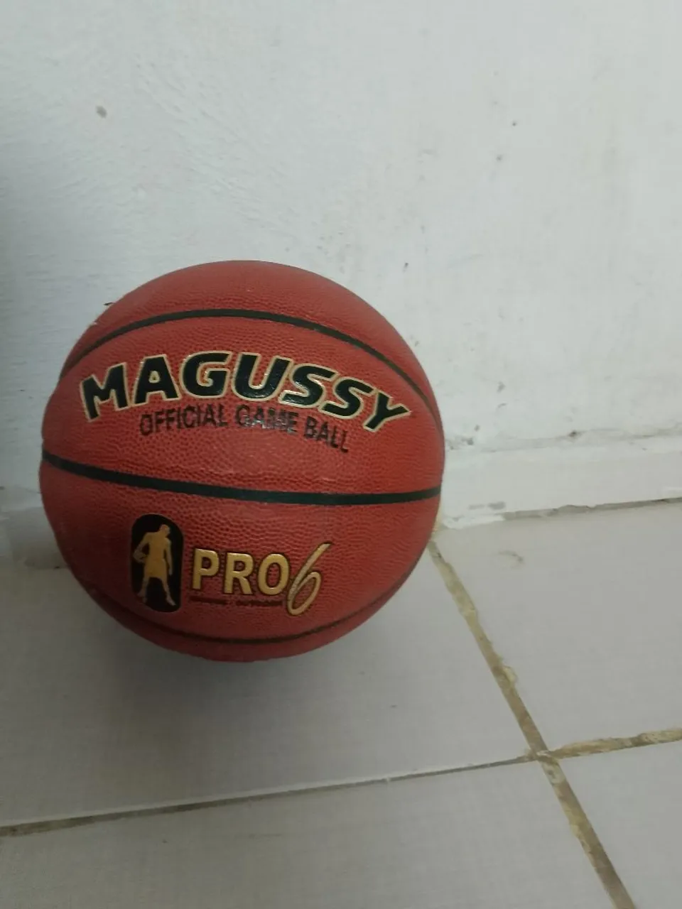 Bola de Basquete Magussy Pro 6 - Oficial
